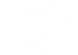 mocado_feuille-1