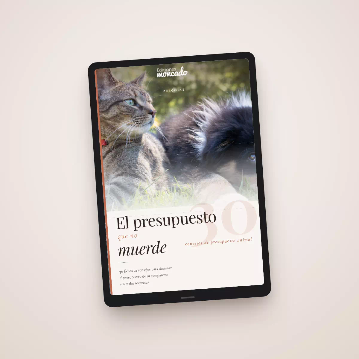 El presupuesto que no muerde